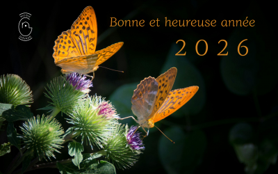 Voeux 2026